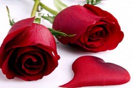 title for the clasiified